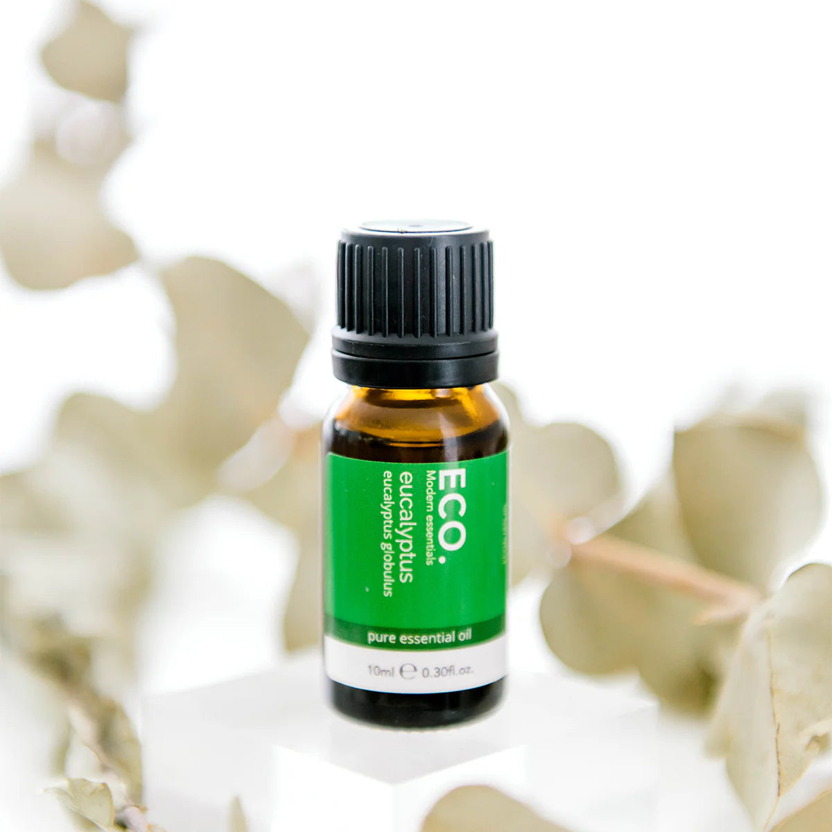 ECO. Modern Essentials - Eucalyptus Pure Essential Oil