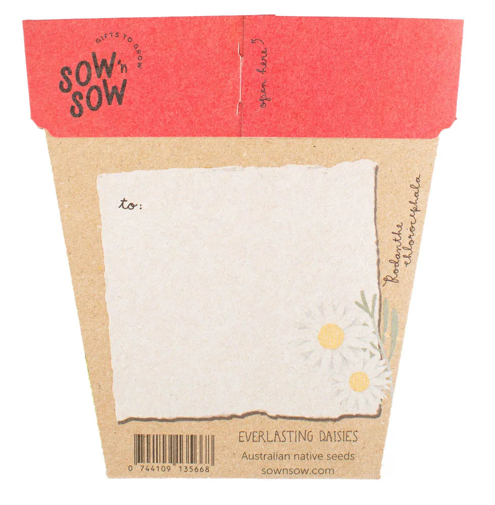 Sow 'N Sow Gift of Seeds - Christmas Gifts Greeting Cards