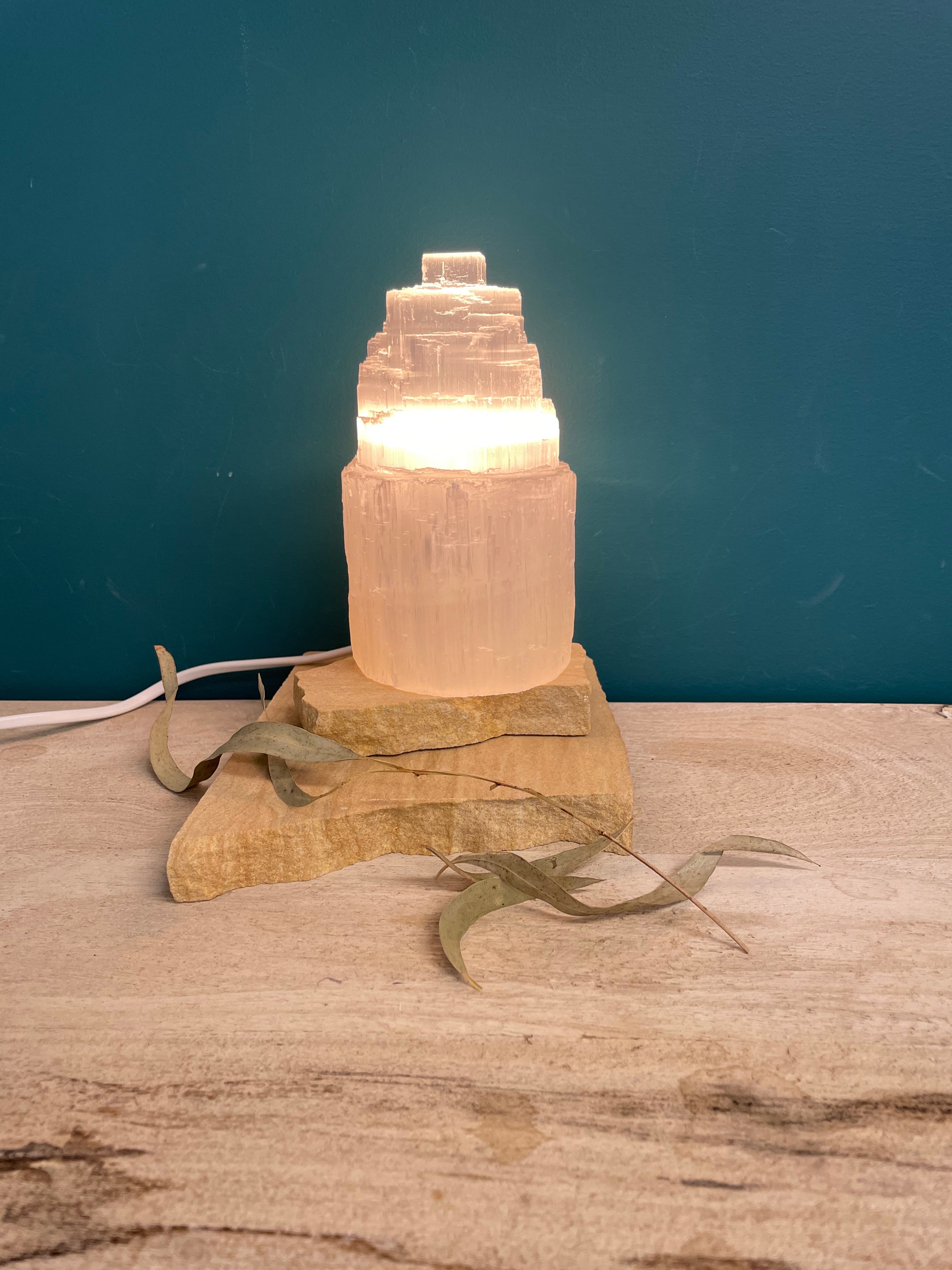 Raw Selenite Lamps - Whole Store