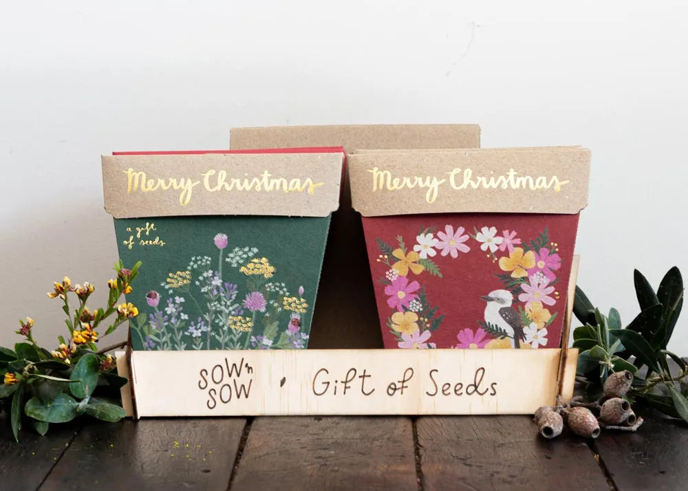 Sow 'N Sow Gift of Seeds - Christmas Gifts Greeting Cards