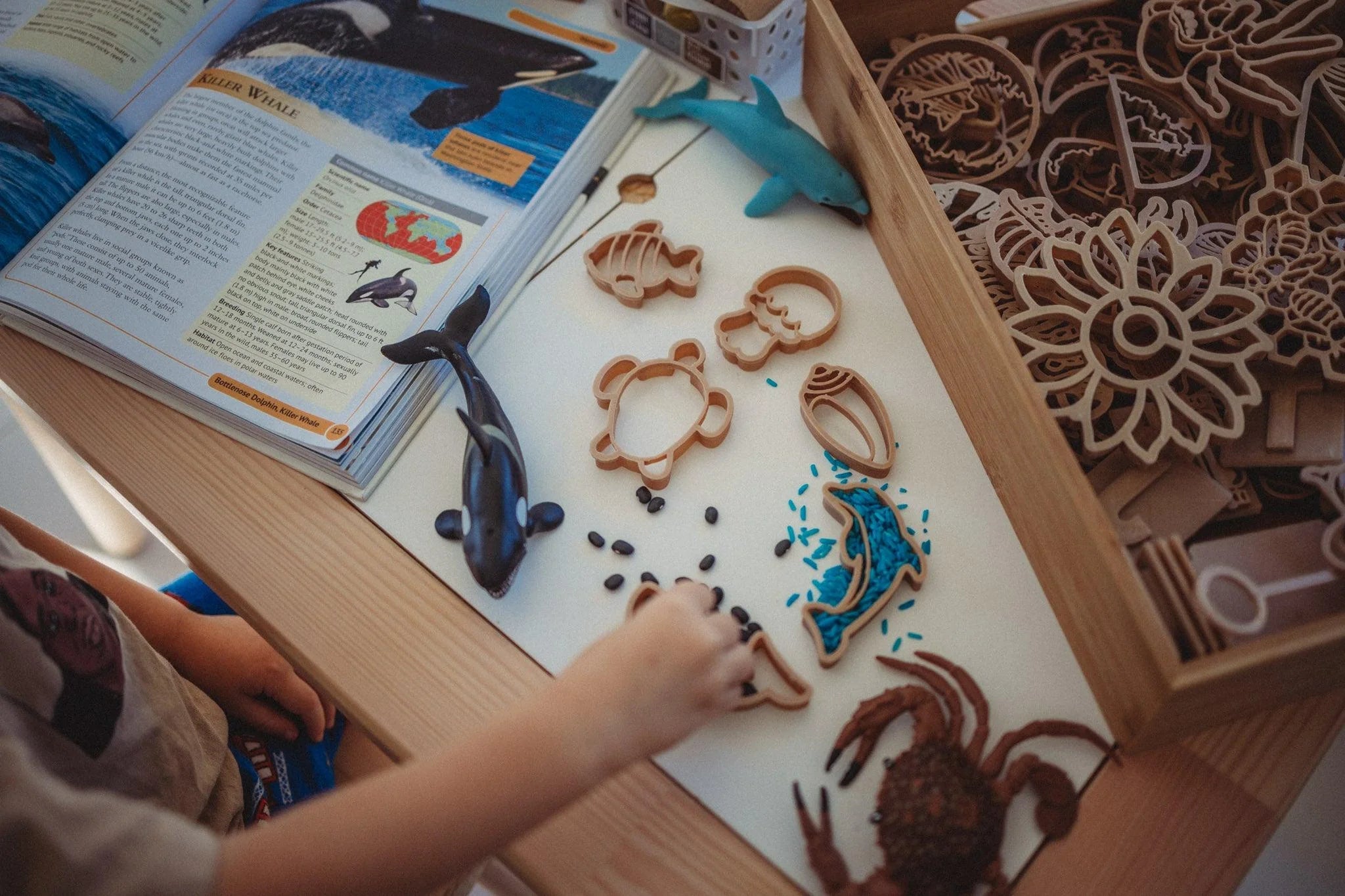 Kinfolk Pantry Eco Cutter Set - Mini Under The Sea