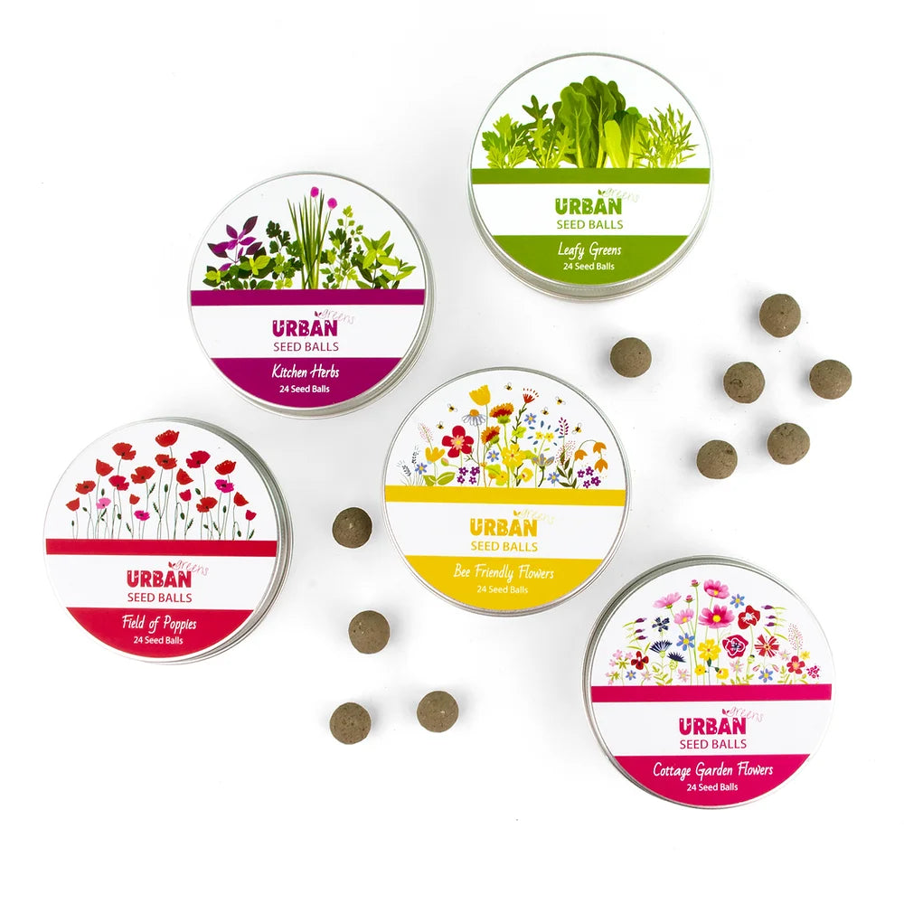 Urban Greens Seed Balls - various