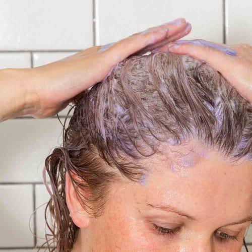 Whole Store Ethique Solid Shampoo Bar Tone It Down - Purple