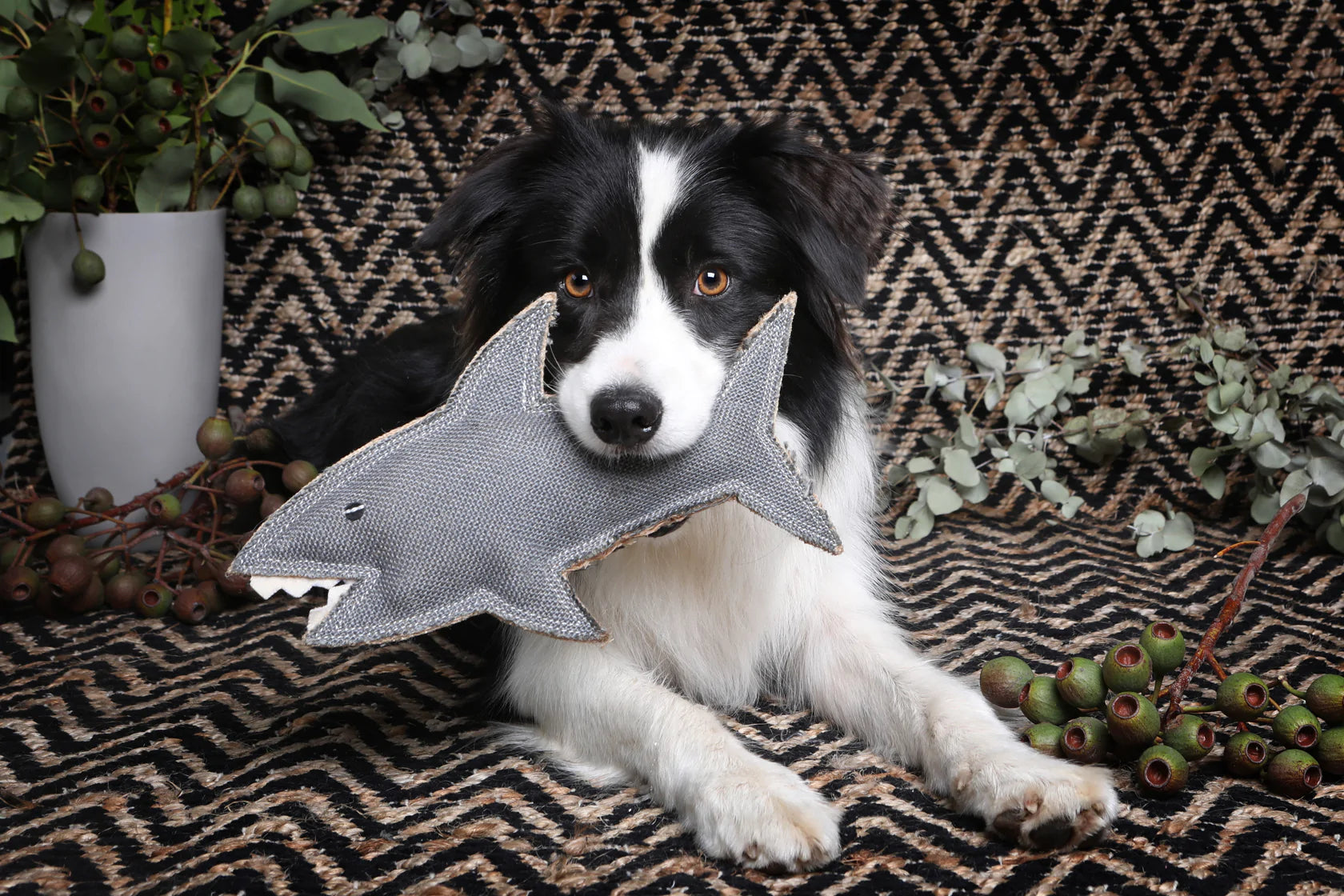 Outback Tails Jute Dog Toy - Shazza the Great White Shark
