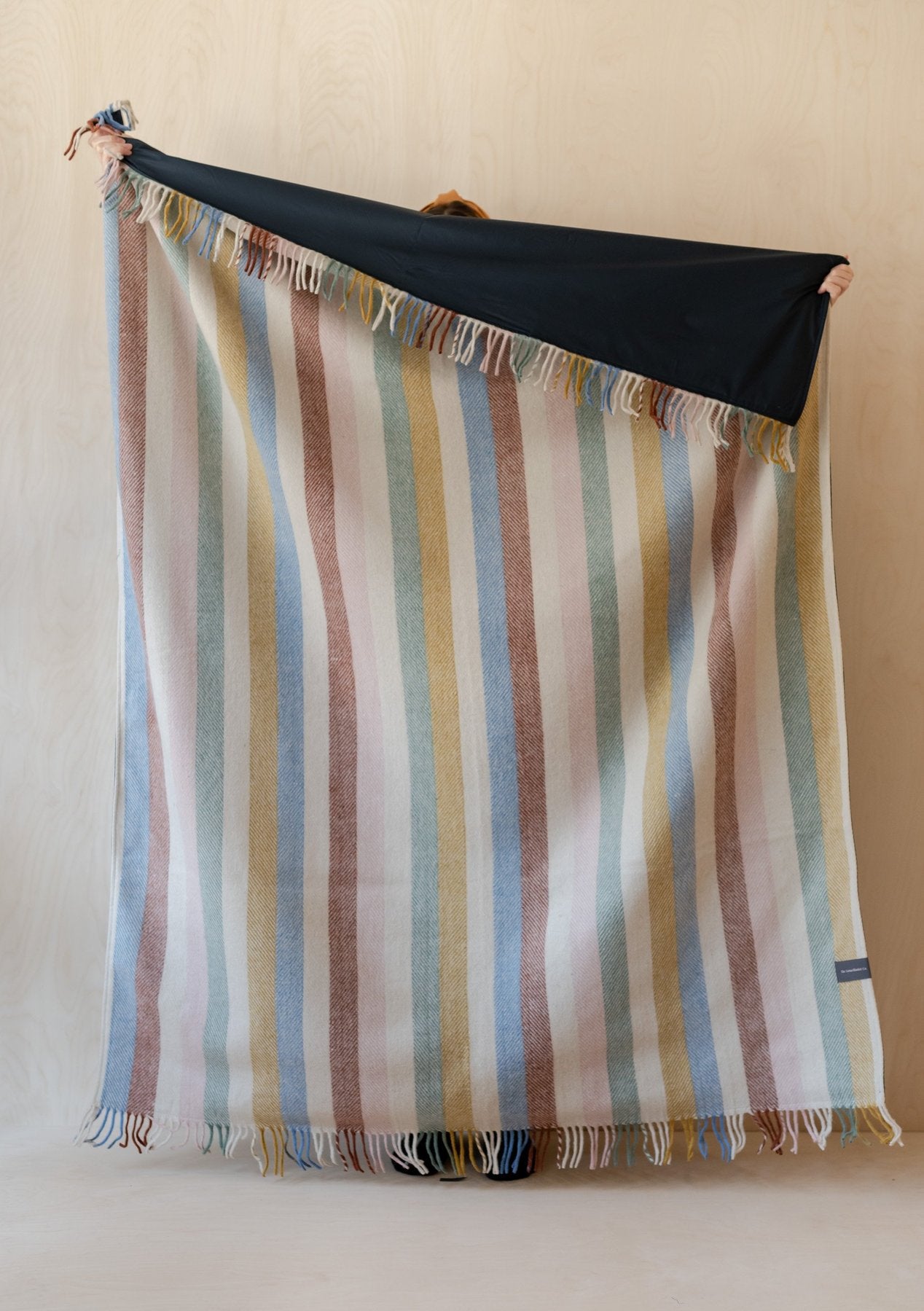 The Tartan Blanket Co. Recycled Wool Waterproof Picnic Blanket - Rainbow Herringbone Check