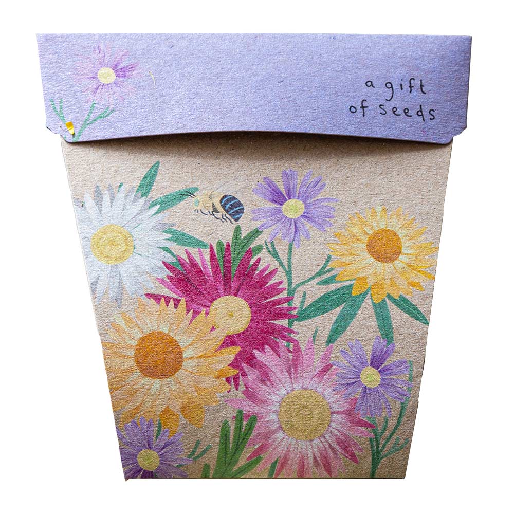 Sow 'N Sow Gift of Seeds - Greeting Cards
